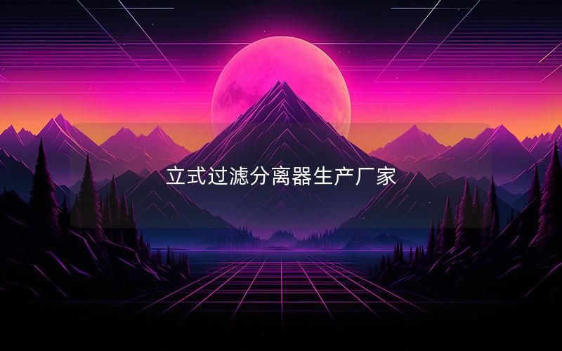 立式过滤分离器生产厂家