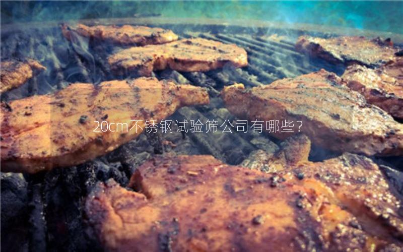 20cm不锈钢试验筛公司有哪些? 20cm不锈钢试验筛公司有哪些?