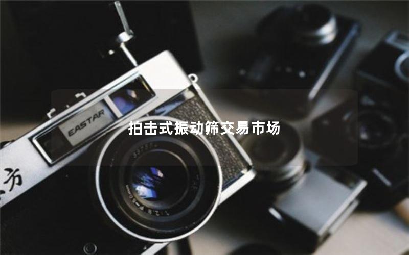 拍击式振动筛交易市场