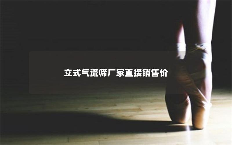 立式气流筛厂家直接销售价