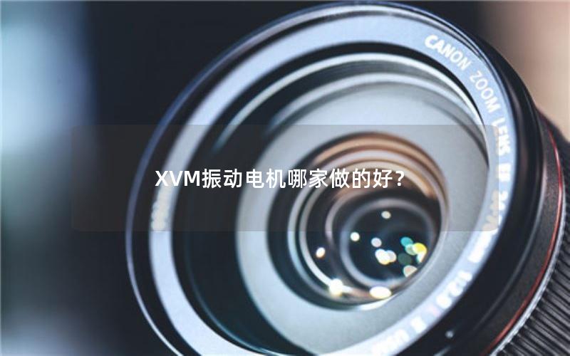 XVM振动电机哪家做的好? XVM振动电机哪家做的好?