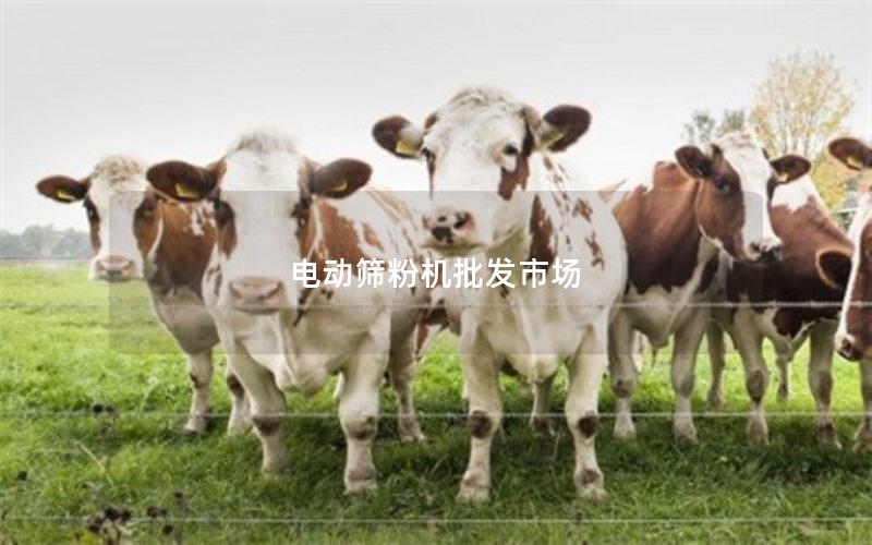 电动筛粉机批发市场