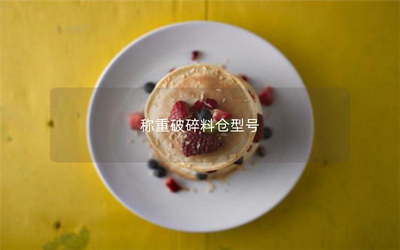 称重破碎料仓型号