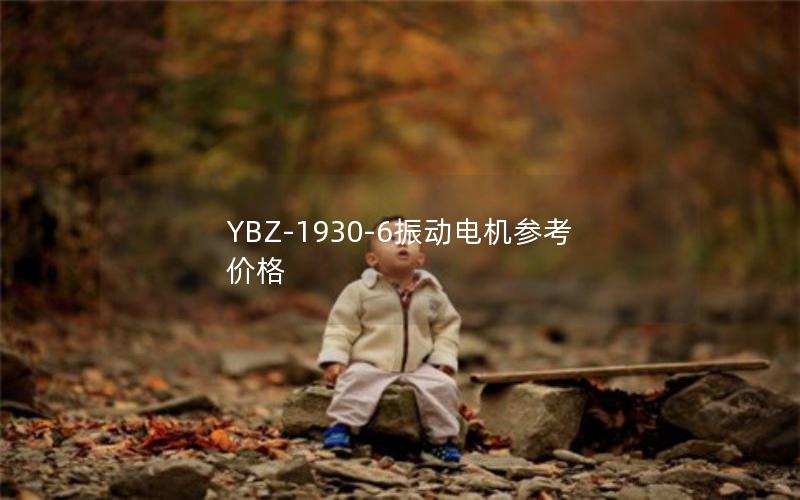 YBZ-1930-6振动电机参考价格 YBZ-1930-6振动电机参考价格