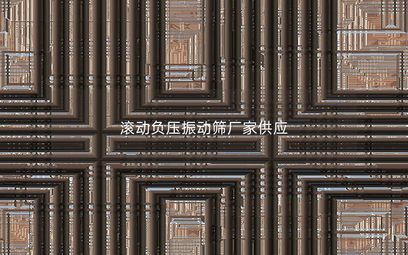 滚动负压振动筛厂家供应