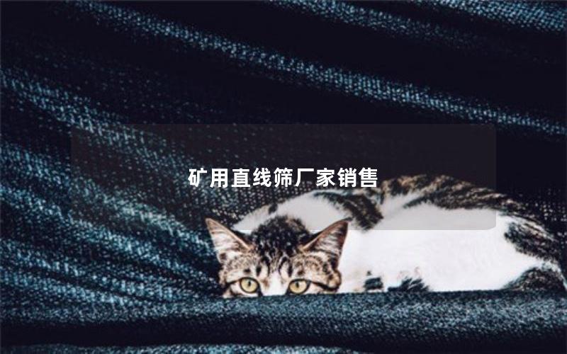 矿用直线筛厂家销售