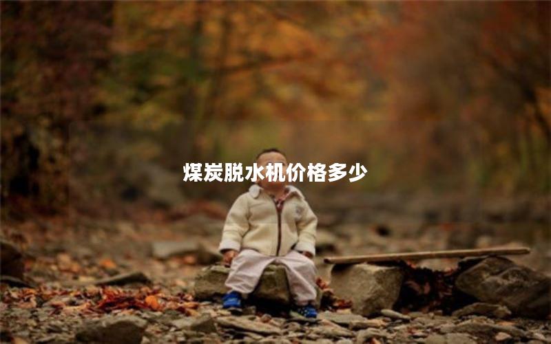 煤炭脱水机价格多少