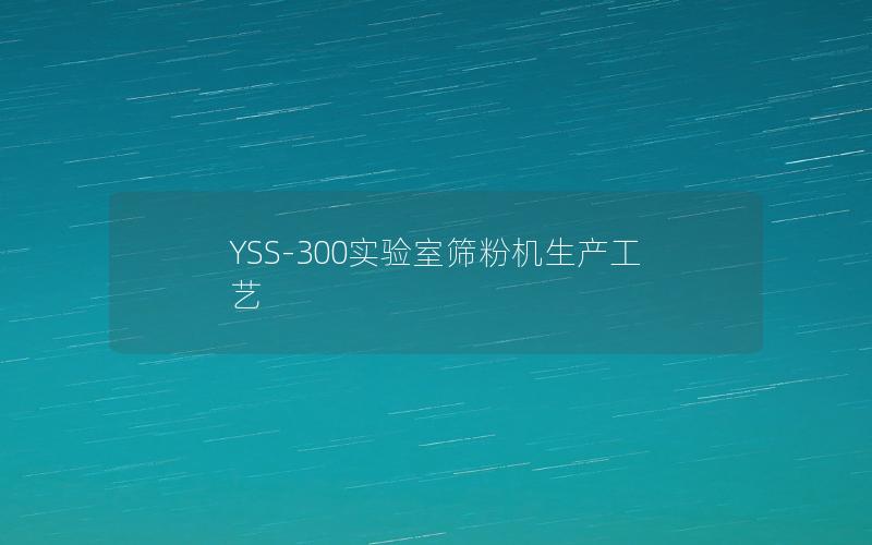 YSS-300实验室筛粉机生产工艺 YSS-300实验室筛粉机生产工艺