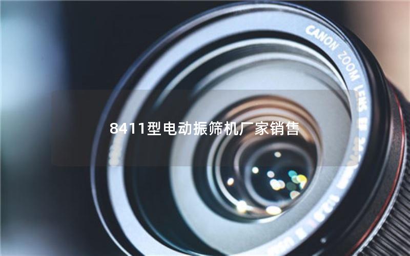 8411型电动振筛机厂家销售 8411型电动振筛机厂家销售