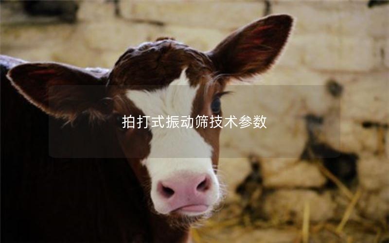 拍打式振动筛技术参数