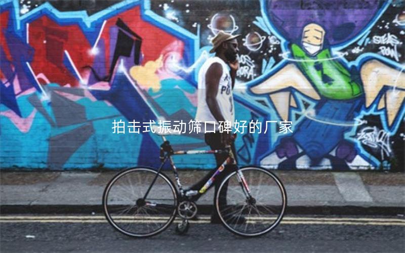 拍击式振动筛口碑好的厂家