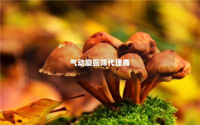 气动旋振筛代理商