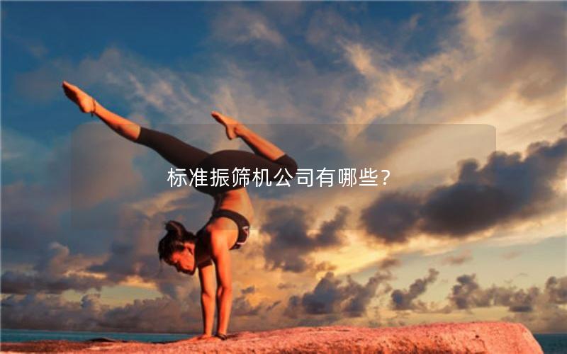 标准振筛机公司有哪些？