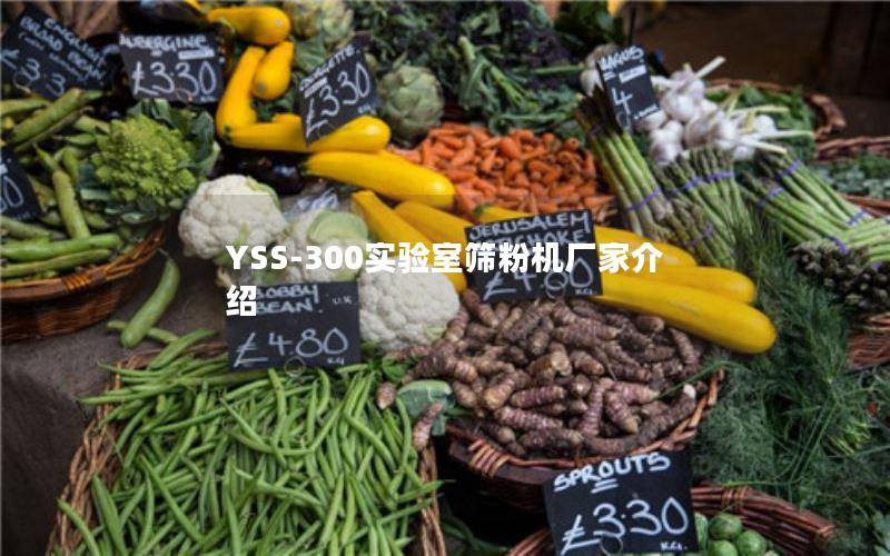 YSS-300实验室筛粉机厂家介绍 YSS-300实验室筛粉机厂家介绍
