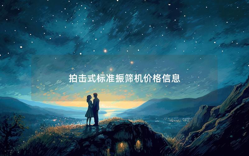 拍击式标准振筛机价格信息