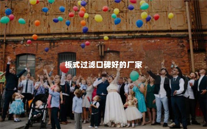 板式过滤口碑好的厂家