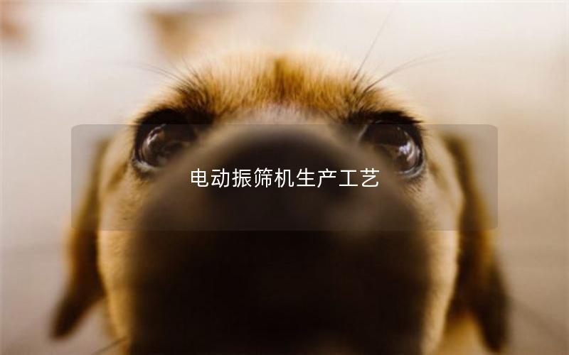 电动振筛机生产工艺