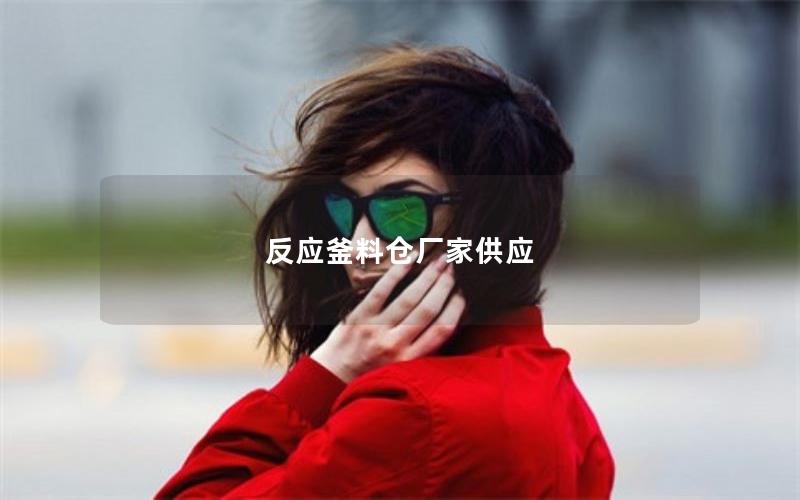 反应釜料仓厂家供应 反应釜料仓厂家供应