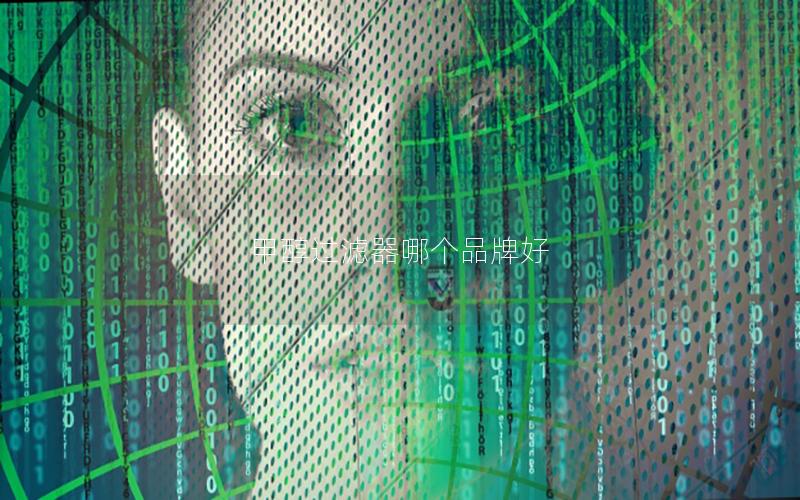 甲醇过滤器哪个品牌好