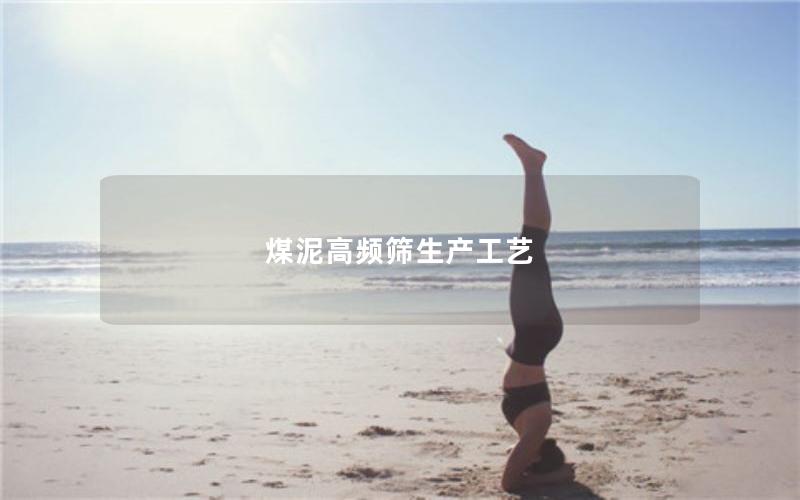 煤泥高频筛生产工艺