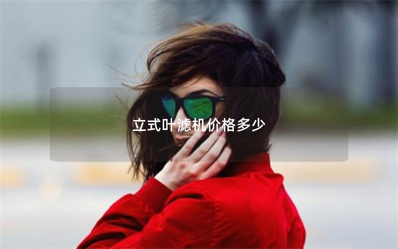 立式叶滤机价格多少