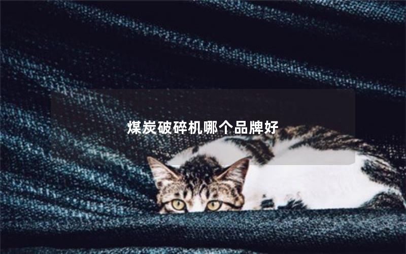 煤炭破碎机哪个品牌好