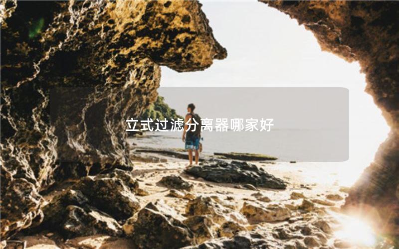 立式过滤分离器哪家好