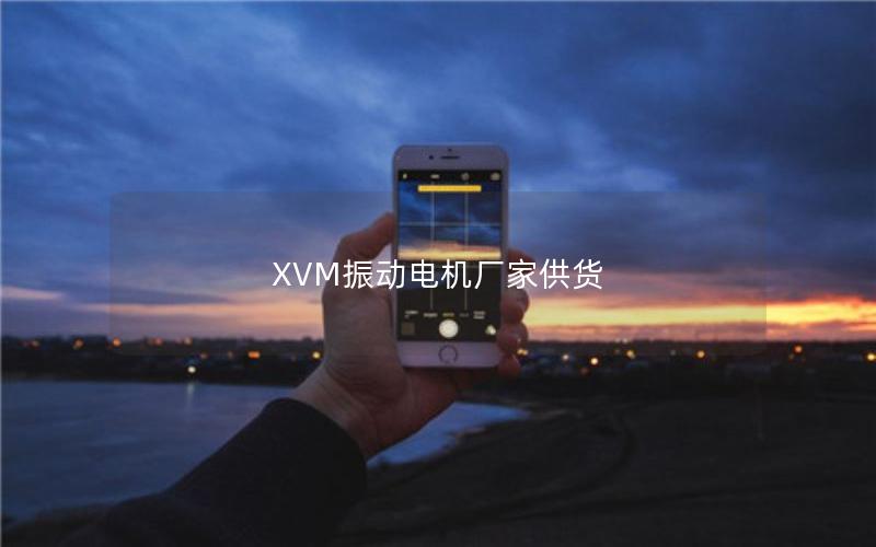 XVM振动电机厂家供货 XVM振动电机厂家供货