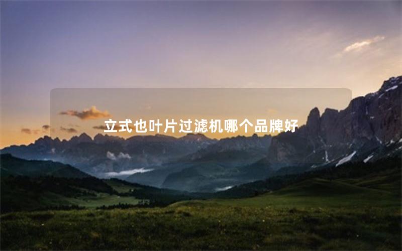 立式也叶片过滤机哪个品牌好 立式也叶片过滤机哪个品牌好