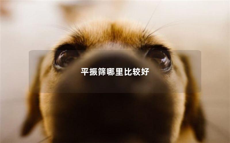 平振筛哪里比较好