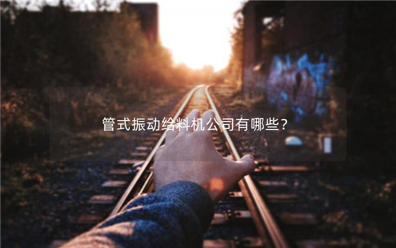 管式振动给料机公司有哪些? 管式振动给料机公司有哪些?