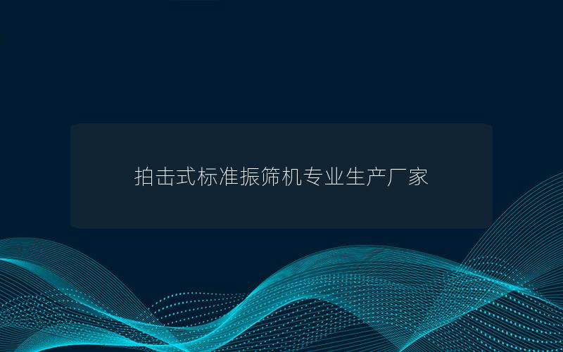 拍击式标准振筛机专业生产厂家