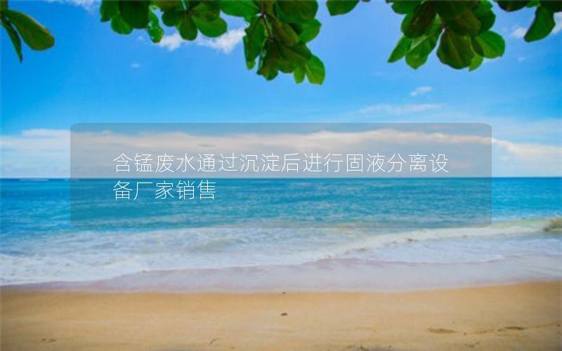 含锰废水通过沉淀后进行固液分离设备厂家销售 含锰废水通过沉淀后进行固液分离设备厂家销售