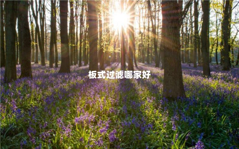 板式过滤哪家好