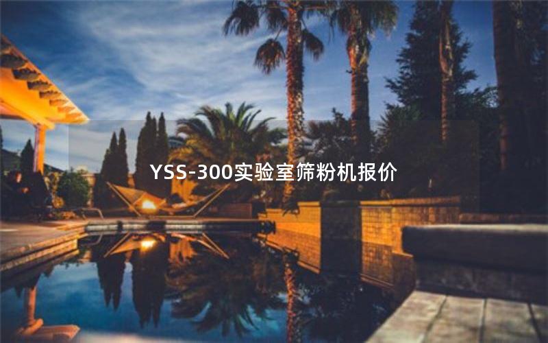 YSS-300实验室筛粉机报价 YSS-300实验室筛粉机报价