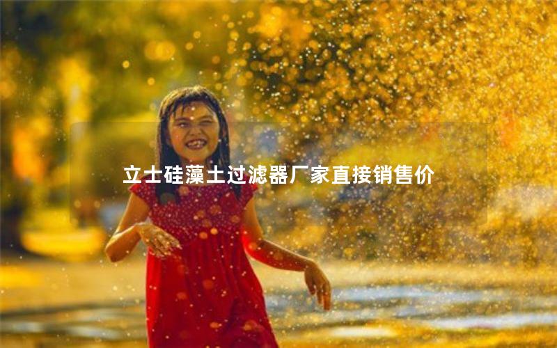 立士硅藻土过滤器厂家直接销售价