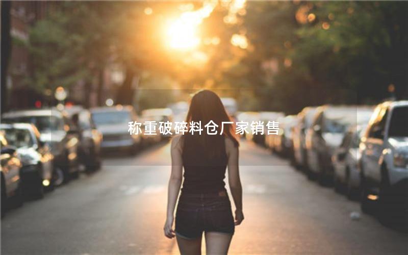 称重破碎料仓厂家销售