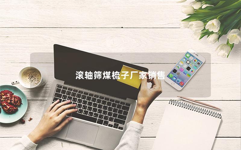 滚轴筛煤梳子厂家销售