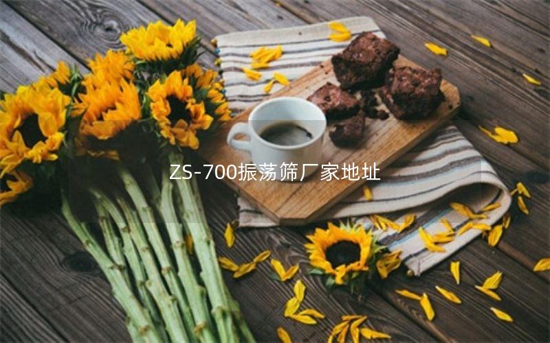ZS-700振荡筛厂家地址 ZS-700振荡筛厂家地址