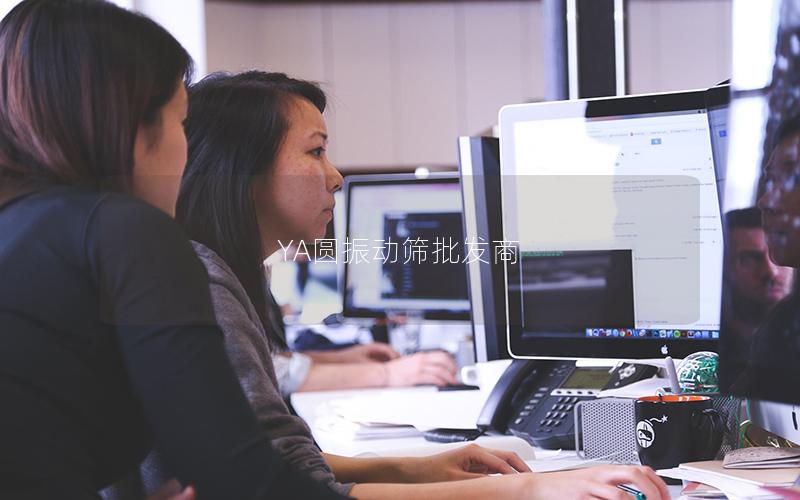 YA圆振动筛批发商 YA圆振动筛批发商