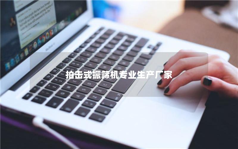 拍击式振筛机专业生产厂家