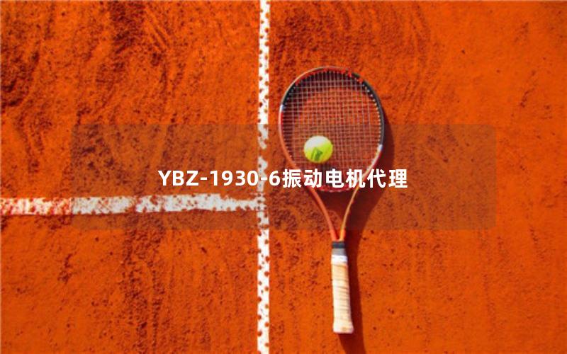 YBZ-1930-6振动电机代理 YBZ-1930-6振动电机代理