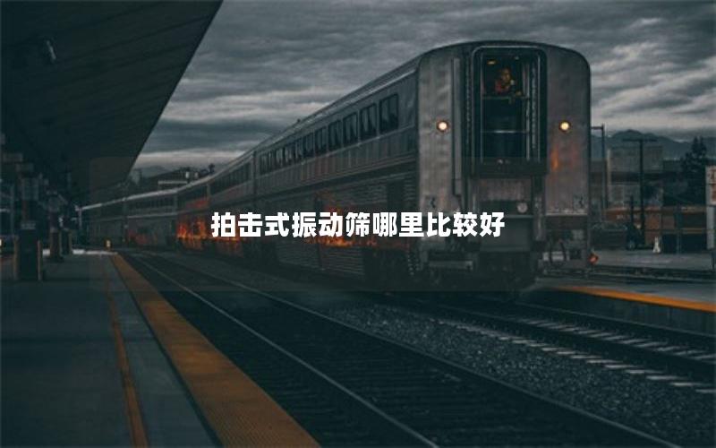 拍击式振动筛哪里比较好