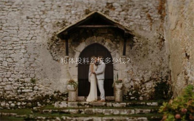 粉体投料系统多少钱？