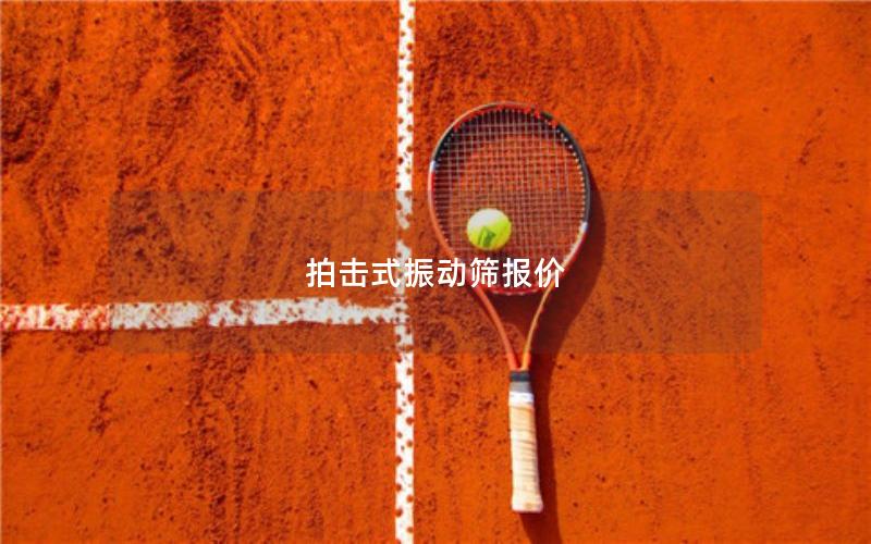 拍击式振动筛报价