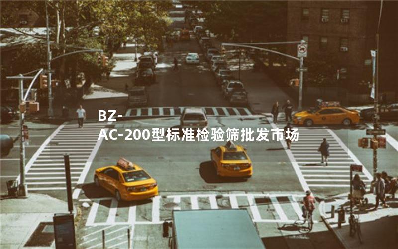 BZ-AC-200型标准检验筛批发市场 BZ-AC-200型标准检验筛批发市场