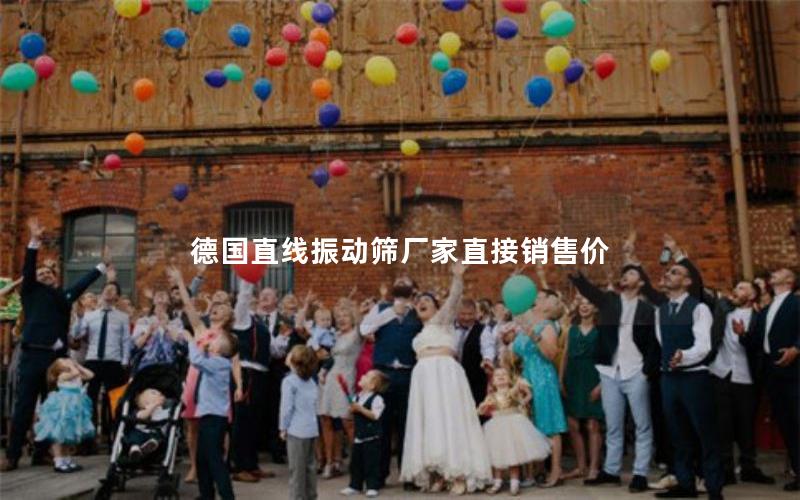 德国直线振动筛厂家直接销售价