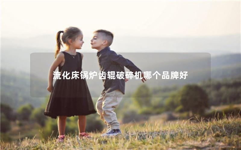 流化床锅炉齿辊破碎机哪个品牌好