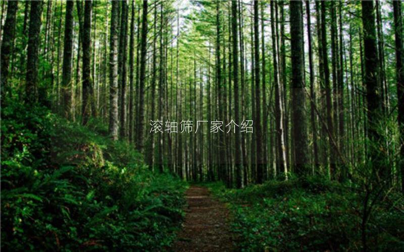 滚轴筛厂家介绍