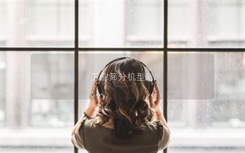 工业筛分机型号